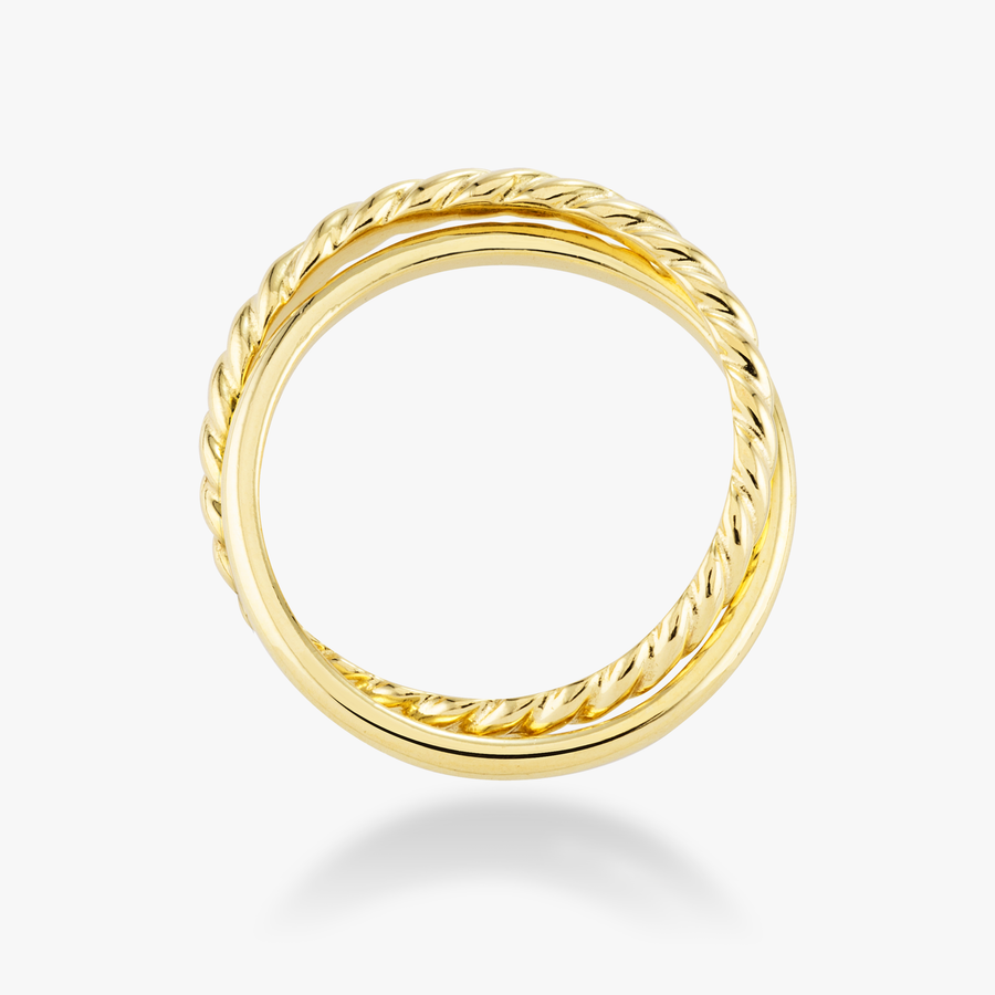 Rope and Polished Band Interlocked Rolling Ring in 18k gold over sterling silver